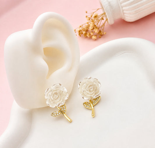 ARETES